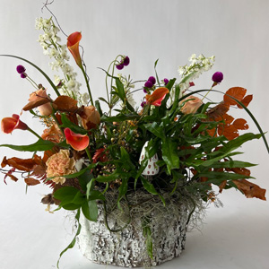 Spring 2024 Arrangement