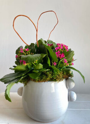 Blooming Plants with Curly Heart