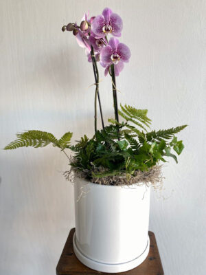 Double Orchid with Ivy and Ferns