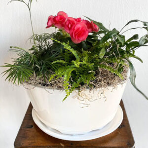Dish Garden with Blooming Plant