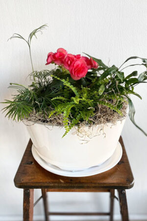 Dish Garden with Blooming Plant