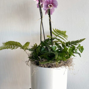 Double Orchid with Ivy and Ferns